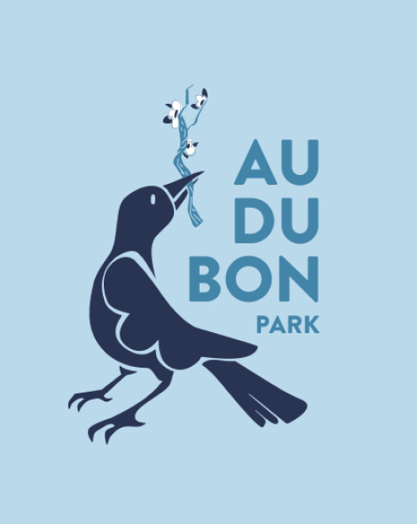 Audubon park blue